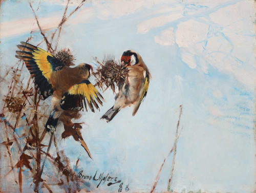 Art prints of Goldfinches by Bruno Liljefors