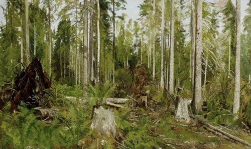 Art prints of Pine Forest (a Study) by Ivan Shishkin