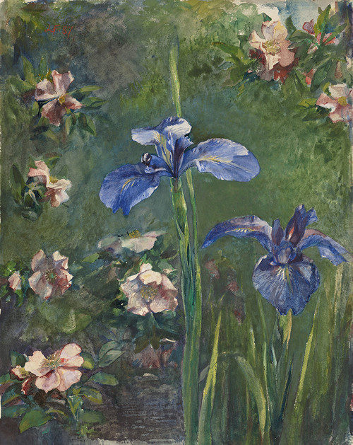 Art Prints of Wild Roses and Irises by John La Farge