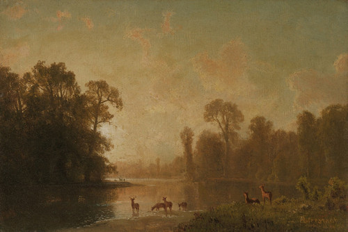 Art Prints of Twilight with Deer by Albert Bierstadt