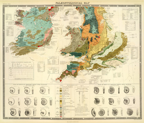 Art Prints of British Islands (0372006) by Alexander Johnson and Edward Forbes