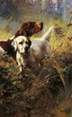 Toile Encadrée Chien Chasseur Setters – Art Mural Victorien Prêt à Accrocher