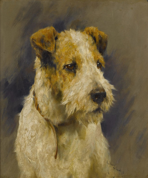 SMOOTH FOX TERRIER DOGS VINTAGE STYLE DOG ART PRINT MATTED READY TO FRAME