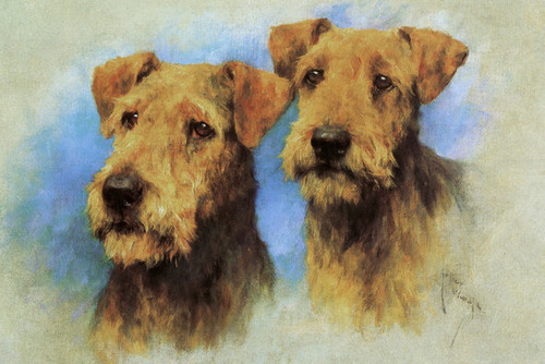 AIREDALE TERRIER #1 Dog ART ACEO Card Print by A Borcuk