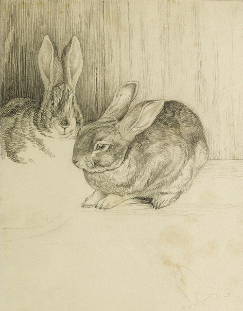 Art Prints of Two Bunnies by Beatrix Potter