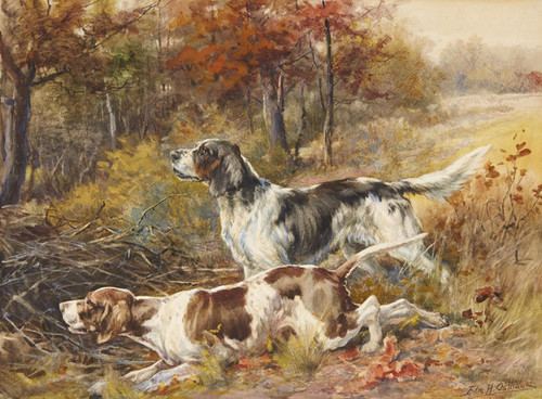 Art Prints of English Setter & Pointer in a Field by Edmund Henry Osthaus