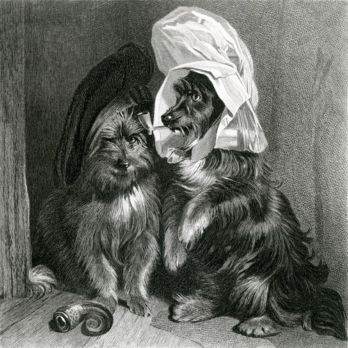 Edwin_Henry_Landseer_-