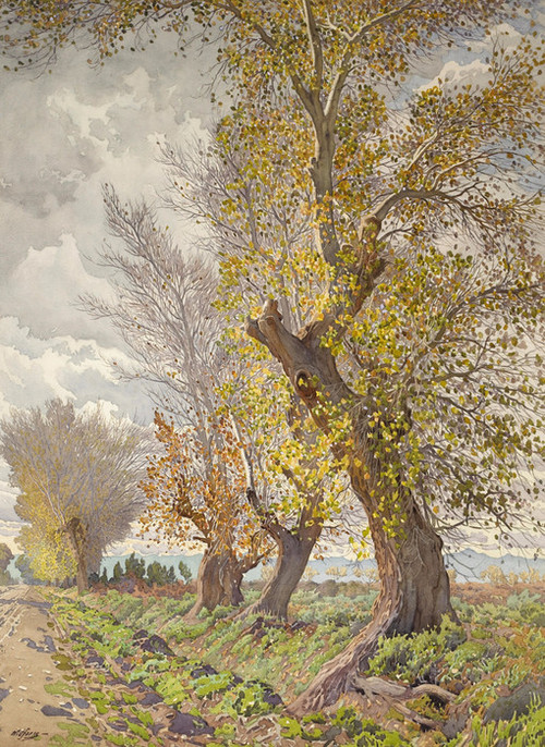 Art Prints of Cottonwood Trees by Gunnar Widforss