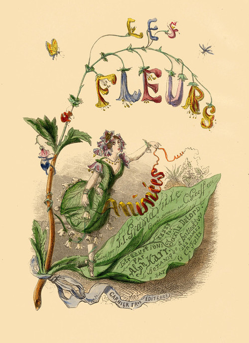 Art Prints of Les Fleurs by J. J. Grandville