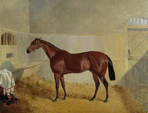 Art Prints Of Chantilly A Chestnut Horse In A Stable By John