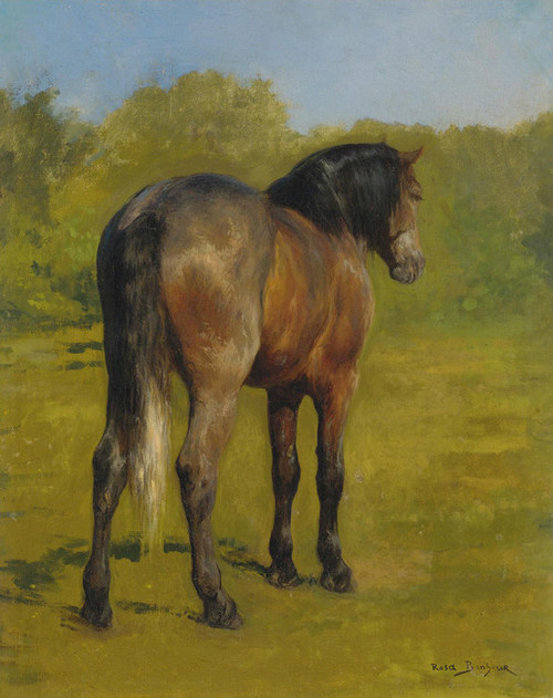 爆買い2024Rosa Bonheur、Tethered pony、希少画集より、新品額装付、iafa 動物画