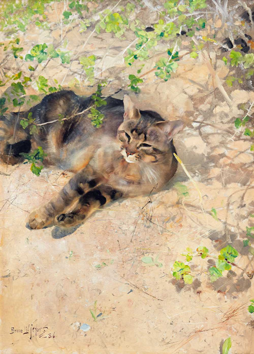 Art Prints of The Cat Jeppe in the Spring Sun by Bruno Liljefors