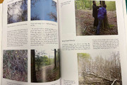 Coppicing and Coppice Crafts A Comprehensive Guide  - R Oaks, E Mills internal 2
