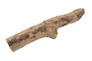 English Boxwood 2" x 2" x 17" BX1352 a