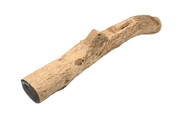 English Boxwood 2" x 2" x 17" BX1352