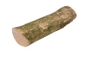 English Boxwood 2" x 3" x 9½" BX1367
