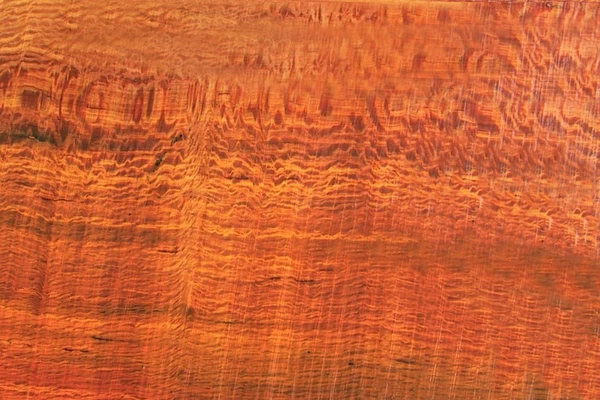 Lacewood/Sheoak (Australian)