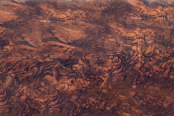Turkish Walnut