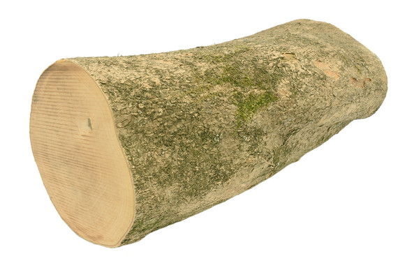 English Boxwood 3¼" x 4¼" x 8¼" BX1330