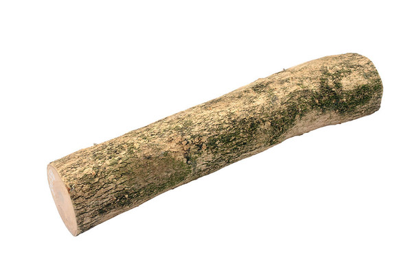 English Boxwood 1¾" x 1¾" x 9¾" BX1358