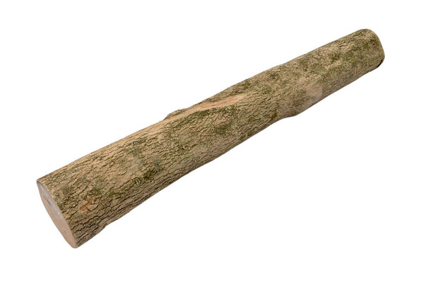 English Boxwood 2" x 2" x 19¾" BX1371