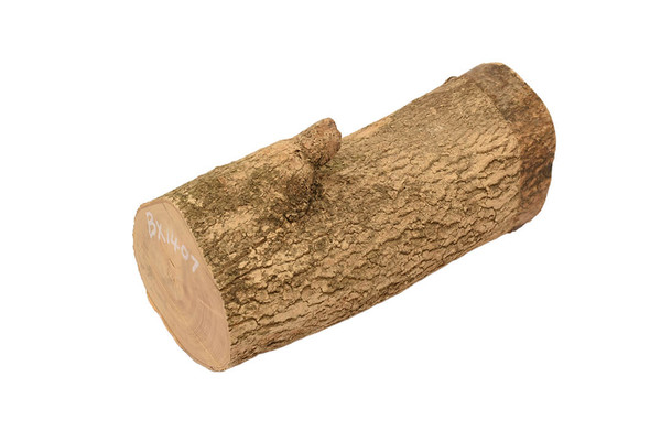 English Boxwood 2" x 2½" x 5½" BX1407