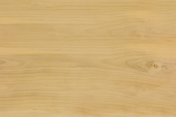 Boxwood (English)