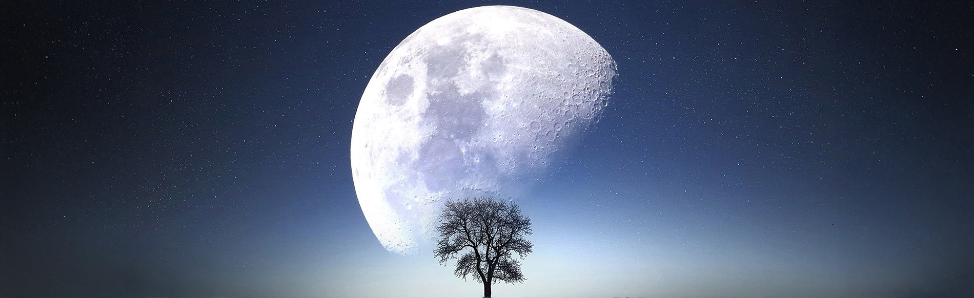 bluemoon sale this weekend
