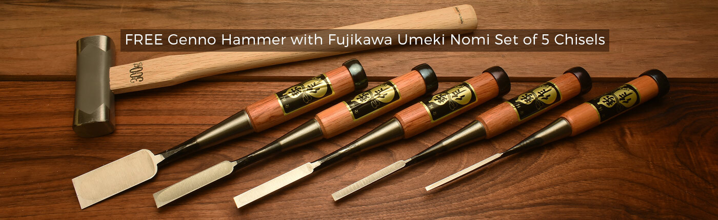 Fujikawa Umeki Nomi Japanese Chisels Set of 5 with Free Genno Hammer
