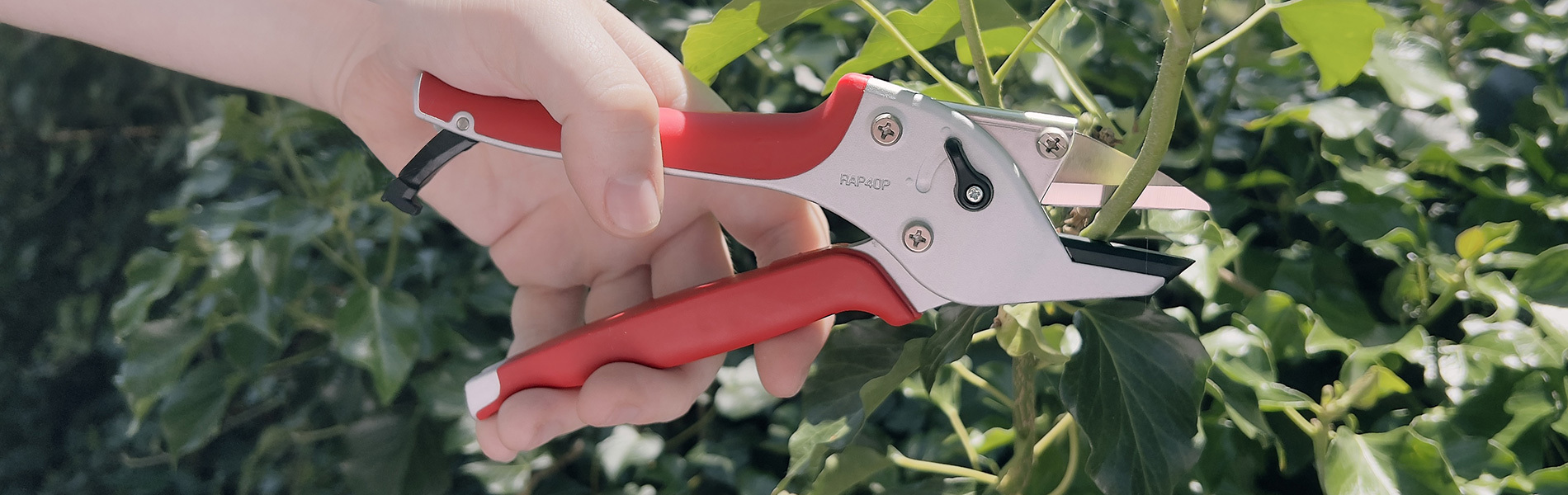 Rakunandesu Anvil Pruning Shears