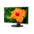 NEC 27" Narrow Bezel Desktop Monitor with IPS Panel and Integrated Speakers