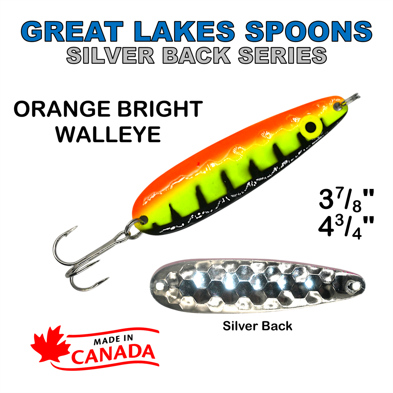 GLS - Orange bright walleye - silver back