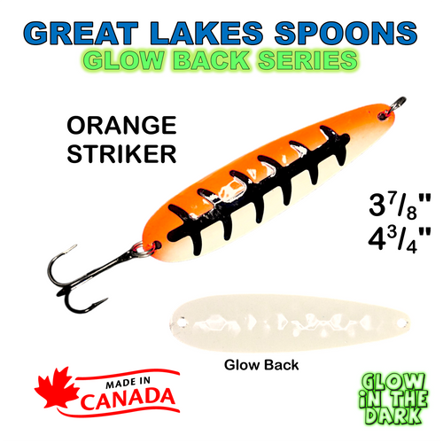 GLS - Orange striker - glow back