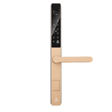 Vault Phantom Slimline Smart Lock - Lever or Knob - Black or Gold