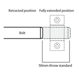 Lockwood Concealed Fix Panic Bolt 230mm - Satin Chrome
