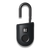 Igloohome Fingerprint Padlock Lite - Onyx Black