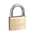 ABUS 65 Series Premium Padlock With 50mm Brass Body and 29.5mm Hardened Steel Shackle - 65/50