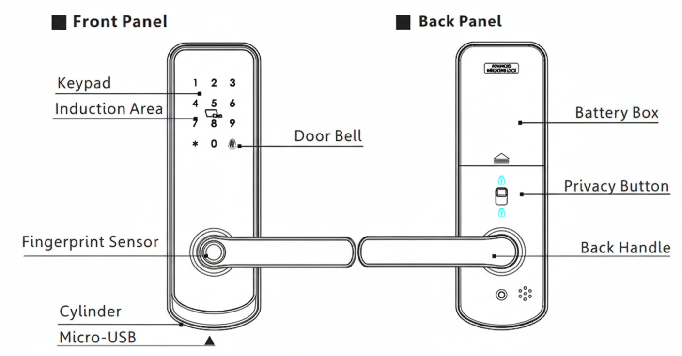Vault smart lock layout drawing showing lock body arrangement and component positions