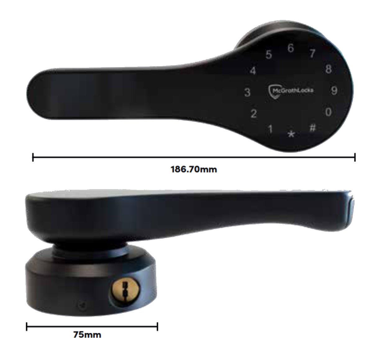 McGrath ASCOT dimensions diagram