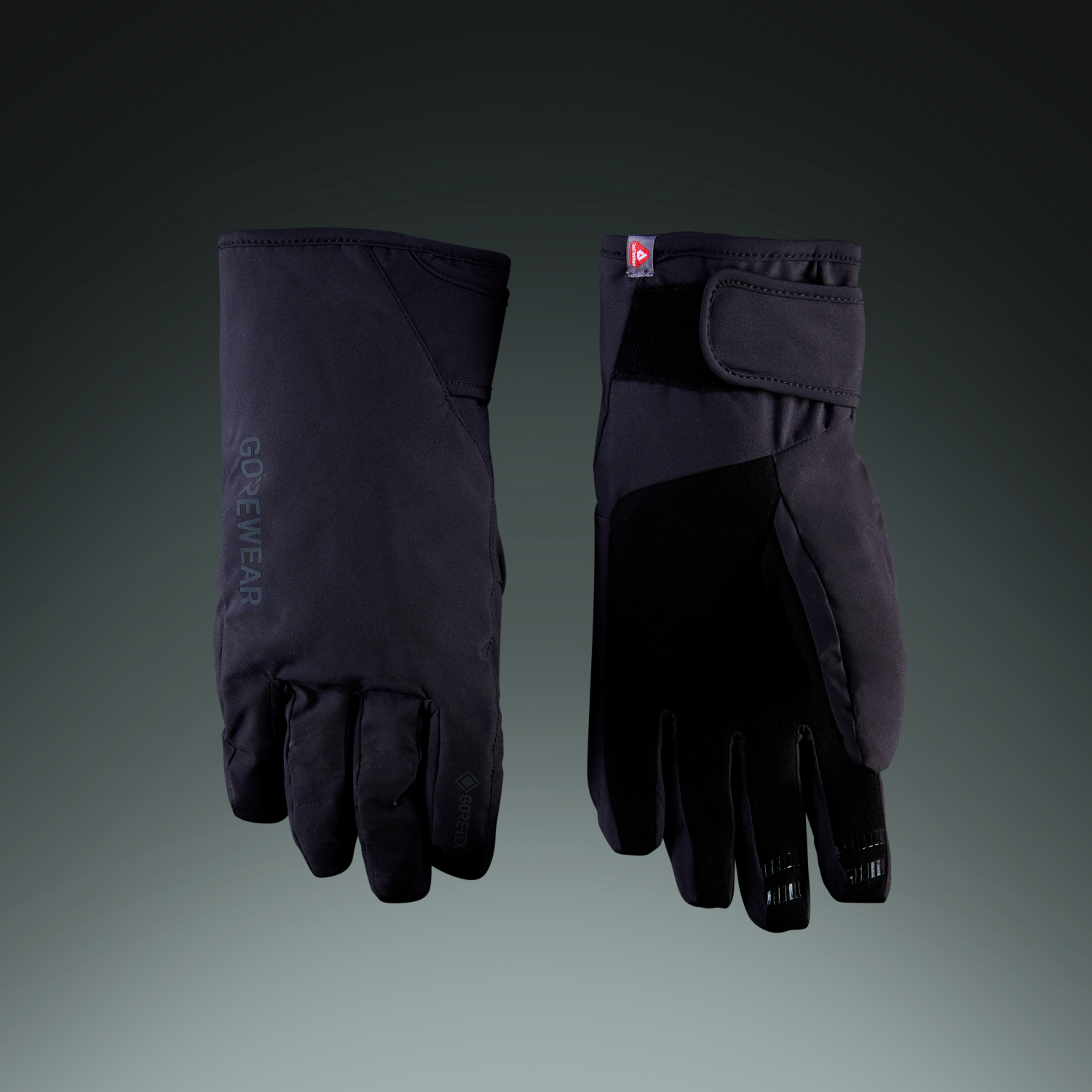 GORE-TEX Insulated Gloves