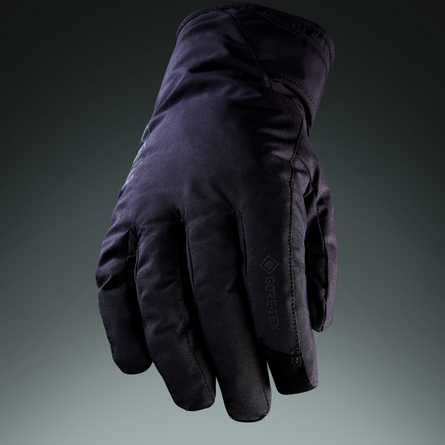 GORE-TEX Insulated Gloves