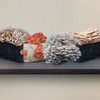 Mushrooms of Many Colors Oyster 8-Block Set includes 2 blocks each of Grey Dove™, Pink, PoHu™, and Italian Oyster.