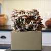 ready to fruit shiitake block kit sitting on top of kit box ready to fruit shiitake block kit sitting on top of kit box