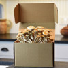 The Pioppini mushroom has beautiful clusters of deeply colored terra-cotta tinted caps and with long white stems.