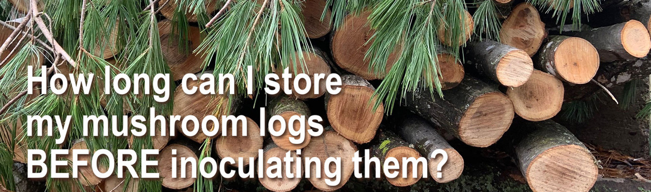 How long can you store your logs cut for mushroom cultivation before inoculating them?