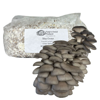 Field & Forest Products
