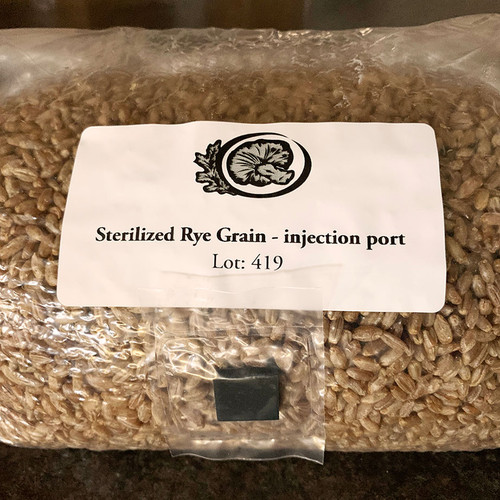 Pre-hydrated, sterilized rye grain substrate with injection port for expanding cultures and making grain masters.
