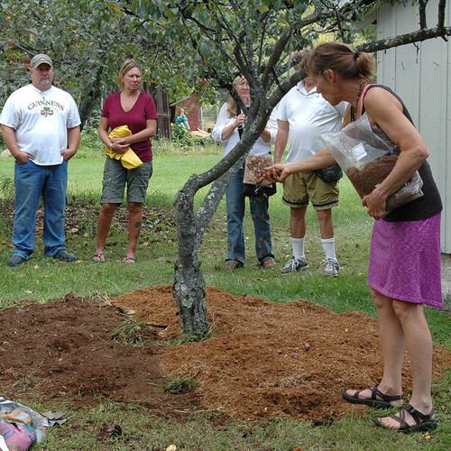 Planting a Wine Cap mushroom bed during Outdoor Mushroom Cultivation Workshop at Field and Forest Products farm.