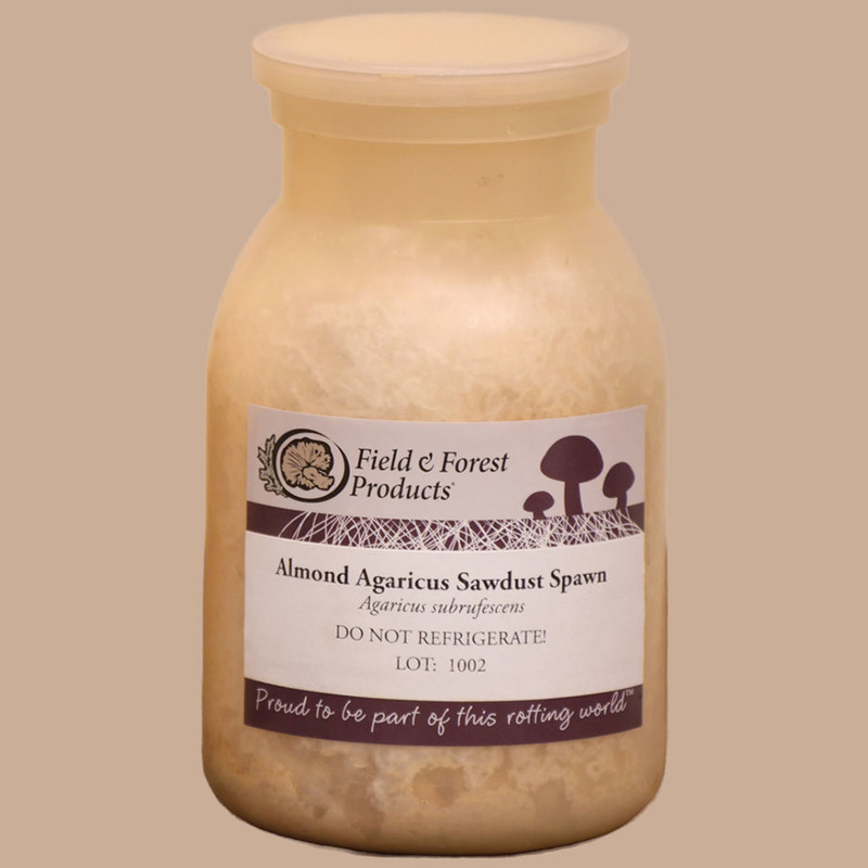 A bottle of sawdust spawn (plants one 18" pot) for growing Almond Agaricus mushrooms in compost.