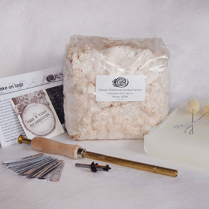 The Shiitake Sawdust Spawn Starter Kit includes everything but the logs - perfect for beginners. Inoculates 20 logs. The Shiitake Sawdust Spawn Starter Kit includes everything but the logs - perfect for beginners. Inoculates 20 logs.